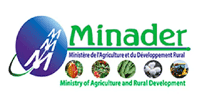 MINADER